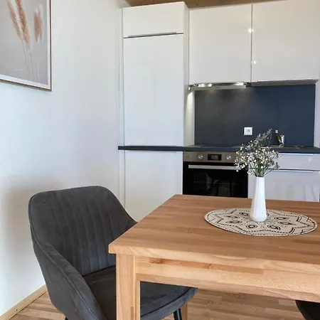 Apartment Ferienwohnung Zum Weinberg Mit Grosser Sonnenterrasse