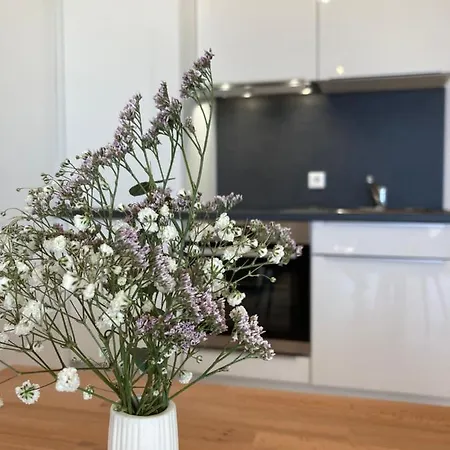 Apartment Ferienwohnung Zum Weinberg Mit Grosser Sonnenterrasse *