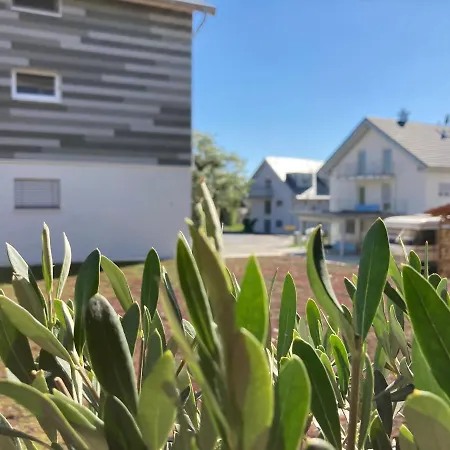 Ferienwohnung Zum Weinberg Mit Grosser Sonnenterrasse Apartment